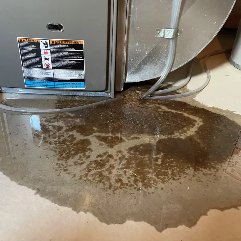 Appliance Leak Cleanup in Norlina, NC